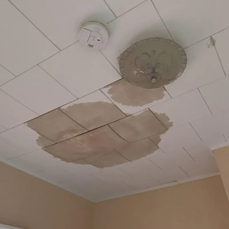 Ceiling Water Damage Repair in Stratford, WI