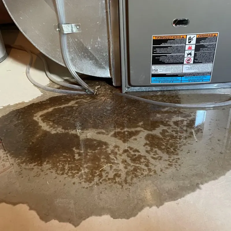 Pipe Burst and Leak Restoration in Stratford, WI